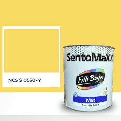 Filli Boya Sentomaxx Boya NCS S 0550-Y