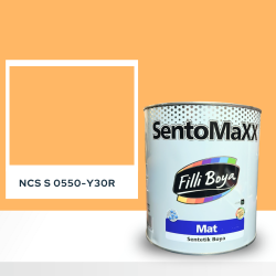 Filli Boya Sentomaxx Boya NCS S 0550-Y30R