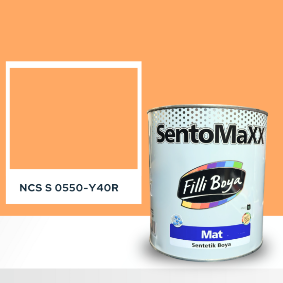Filli Boya Sentomaxx Boya NCS S 0550-Y40R
