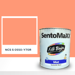 Filli Boya Sentomaxx Boya NCS S 0550-Y70R