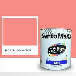 Filli Boya Sentomaxx Boya NCS S 0550-Y90R