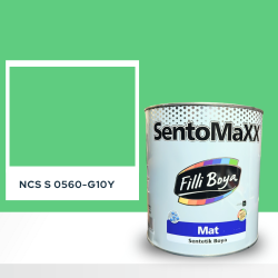 Filli Boya Sentomaxx Boya NCS S 0560-G10Y