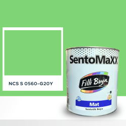 Filli Boya Sentomaxx Boya NCS S 0560-G20Y