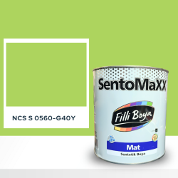 Filli Boya Sentomaxx Boya NCS S 0560-G40Y