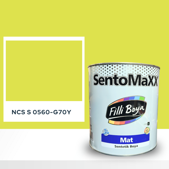 Filli Boya Sentomaxx Boya NCS S 0560-G70Y Filli Boya Sentomaxx Boya NCS S 0560-G70Y