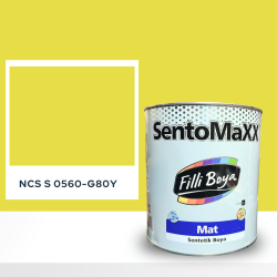 Filli Boya Sentomaxx Boya NCS S 0560-G80Y