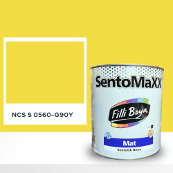 Filli Boya Sentomaxx Boya NCS S 0560-G90Y
