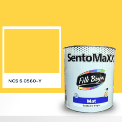 Filli Boya Sentomaxx Boya NCS S 0560-Y
