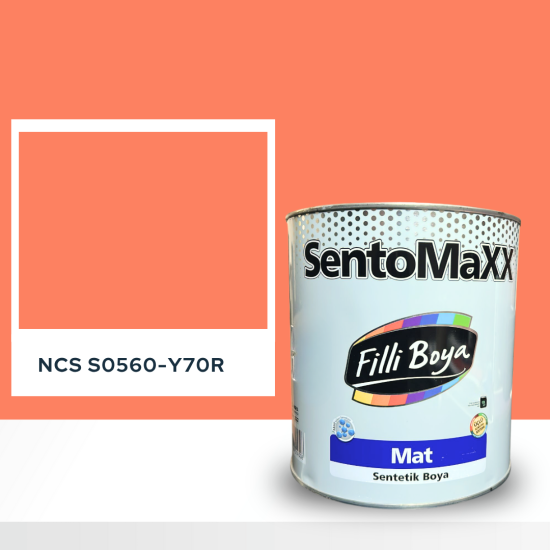 Filli Boya Sentomaxx Boya NCS S 0560-Y70R