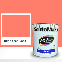 Filli Boya Sentomaxx Boya NCS S 0560-Y80R