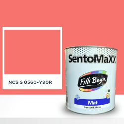 Filli Boya Sentomaxx Boya NCS S 0560-Y90R