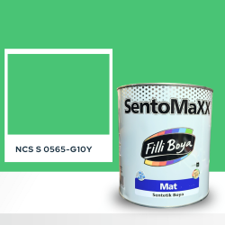 Filli Boya Sentomaxx Boya NCS S 0565-G10Y