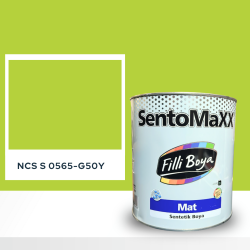 Filli Boya Sentomaxx Boya NCS S 0565-G50Y