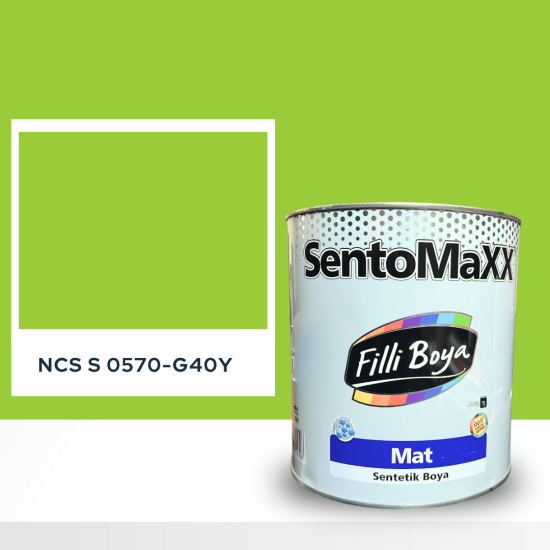 Filli Boya Sentomaxx Boya NCS S 0570-G40Y