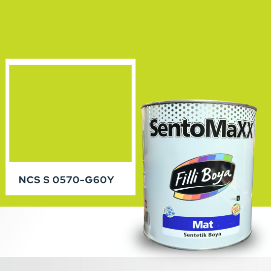Filli Boya Sentomaxx Boya NCS S 0570-G60Y