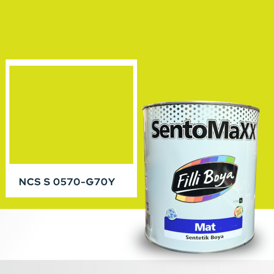 Filli Boya Sentomaxx Boya NCS S 0570-G70Y