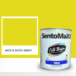 Filli Boya Sentomaxx Boya NCS S 0570-G80Y