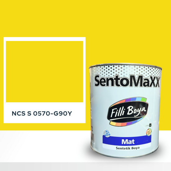 Filli Boya Sentomaxx Boya NCS S 0570-G90Y