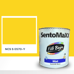 Filli Boya Sentomaxx Boya NCS S 0570-Y