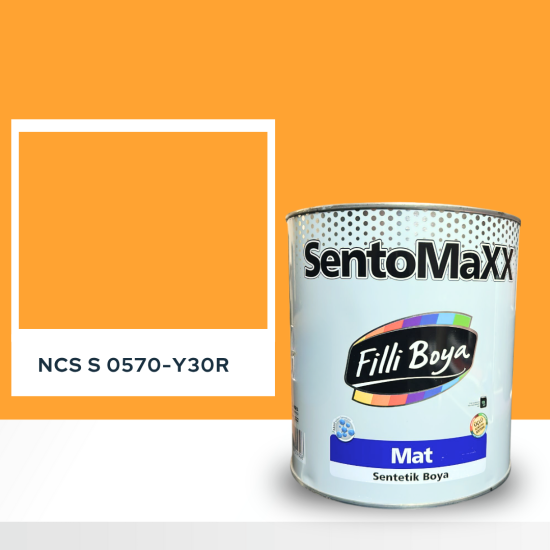 Filli Boya Sentomaxx Boya NCS S 0570-Y30R