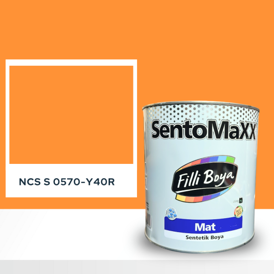 Filli Boya Sentomaxx Boya NCS S 0570-Y40R