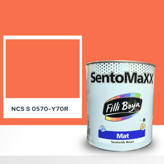 Filli Boya Sentomaxx Boya NCS S 0570-Y70R