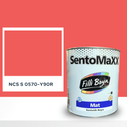 Filli Boya Sentomaxx Boya NCS S 0570-Y90R