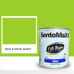 Filli Boya Sentomaxx Boya NCS S 0575-G40Y