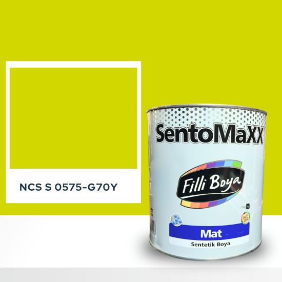 Filli Boya Sentomaxx Boya NCS S 0575-G70Y Filli Boya Sentomaxx Boya NCS S 0575-G70Y