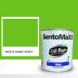 Filli Boya Sentomaxx Boya NCS S 0580-G30Y