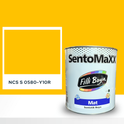 Filli Boya Sentomaxx Boya NCS S 0580-Y10R