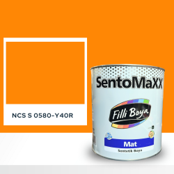 Filli Boya Sentomaxx Boya NCS S 0580-Y40R