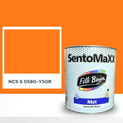 Filli Boya Sentomaxx Boya NCS S 0580-Y50R