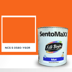 Filli Boya Sentomaxx Boya NCS S 0580-Y60R