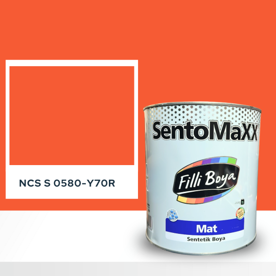 Filli Boya Sentomaxx Boya NCS S 0580-Y70R Filli Boya Sentomaxx Boya NCS S 0580-Y70R