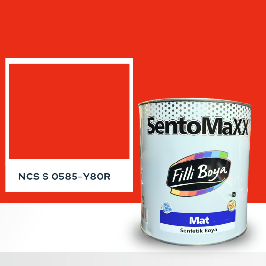 Filli Boya Sentomaxx Boya NCS S 0580-Y80R Filli Boya Sentomaxx Boya NCS S 0580-Y80R
