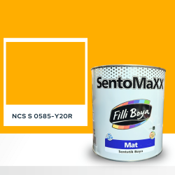 Filli Boya Sentomaxx Boya NCS S 0585-Y20R