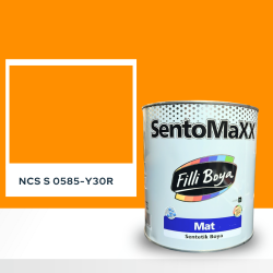 Filli Boya Sentomaxx Boya NCS S 0585-Y30R
