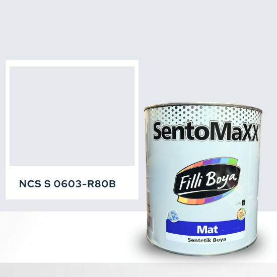 Filli Boya Sentomaxx Boya NCS S 0603-R80B