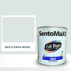 Filli Boya Sentomaxx Boya NCS S 0804-B50G
