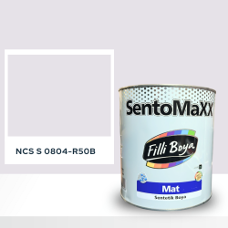 Filli Boya Sentomaxx Boya NCS S 0804-R50B