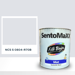 Filli Boya Sentomaxx Boya NCS S 0804-R70B
