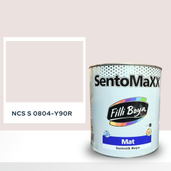 Filli Boya Sentomaxx Boya NCS S 0804-Y90R