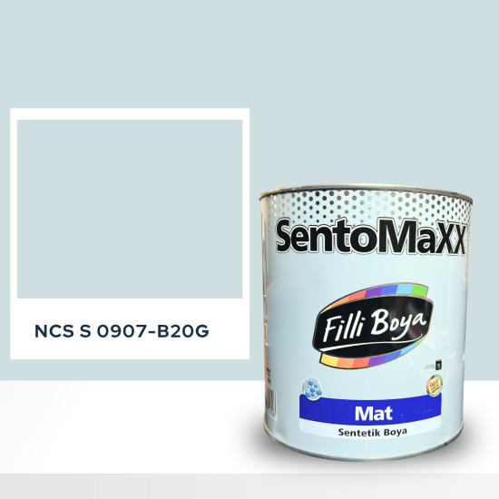 Filli Boya Sentomaxx Boya NCS S 0907-B20G