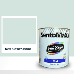Filli Boya Sentomaxx Boya NCS S 0907-B80G