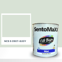 Filli Boya Sentomaxx Boya NCS S 0907-G20Y