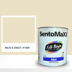 Filli Boya Sentomaxx Boya NCS S 0907-Y10R