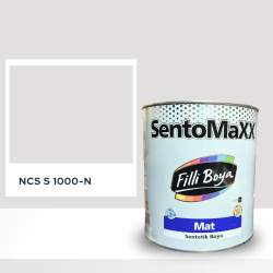 Filli Boya Sentomaxx Boya NCS S 1000-N
