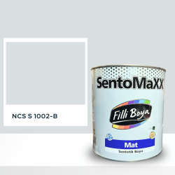 Filli Boya Sentomaxx Boya NCS S 1002-B