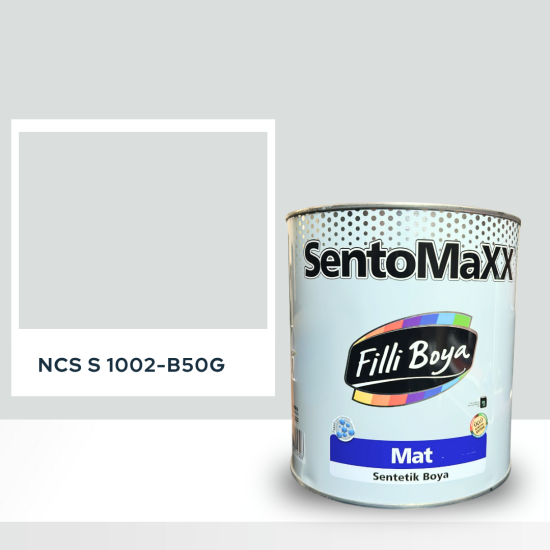 Filli Boya Sentomaxx Boya NCS S 1002-B50G